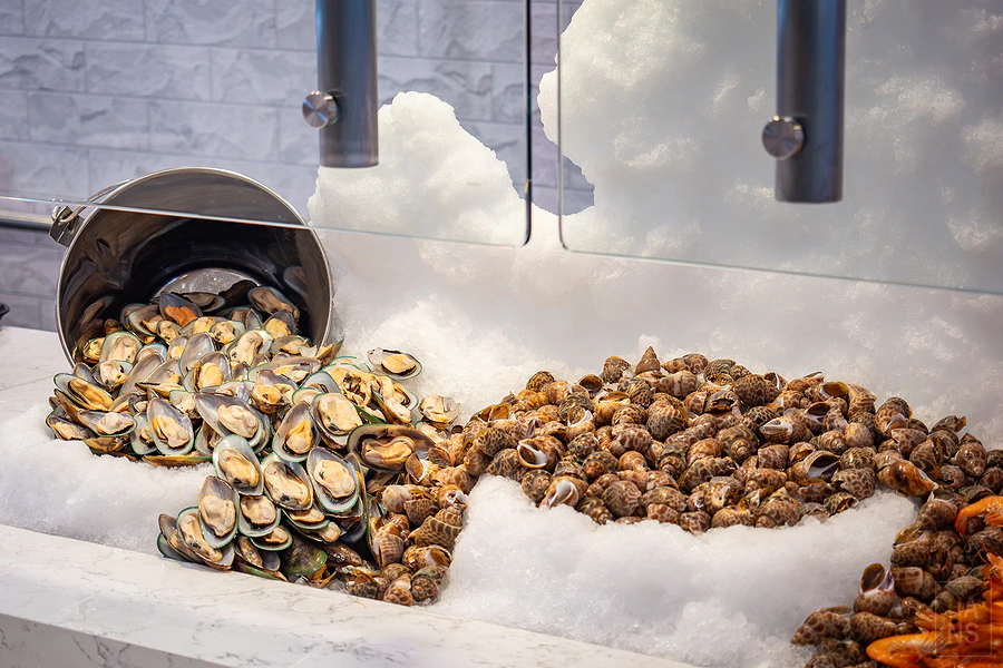 麗星郵輪探索星號