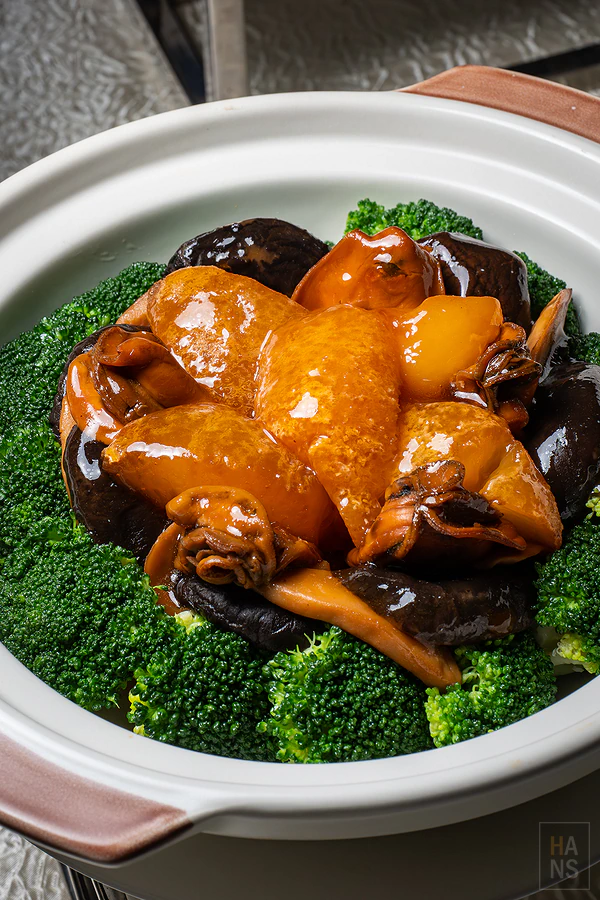 麗星郵輪探索星號