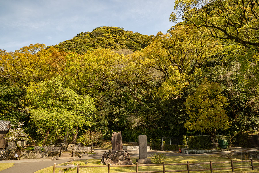 麗星郵輪探索星號