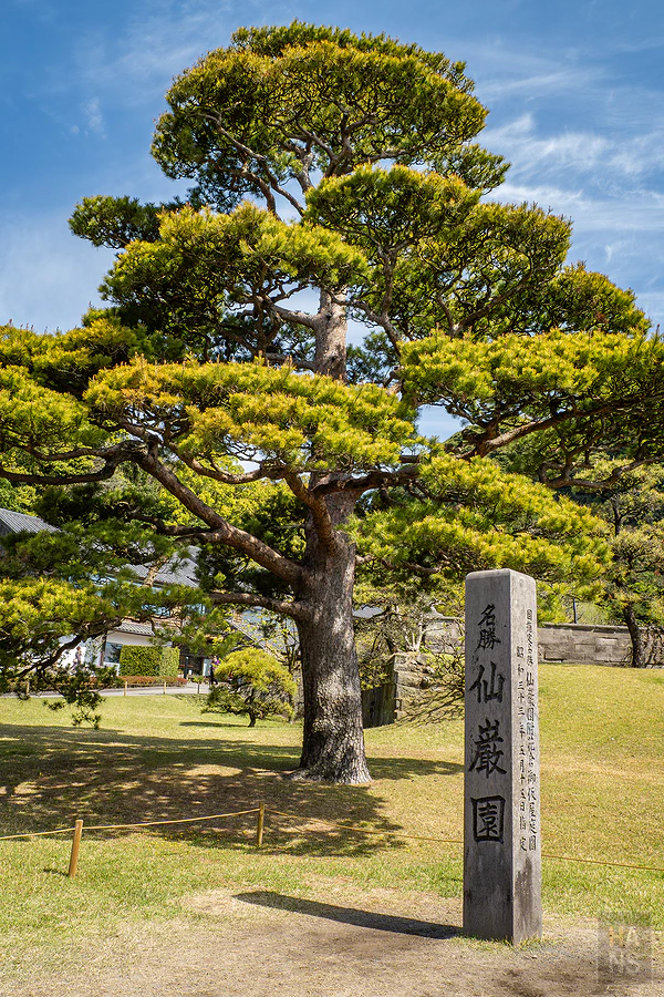 麗星郵輪探索星號