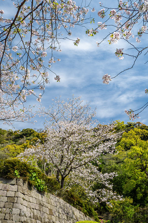 麗星郵輪探索星號