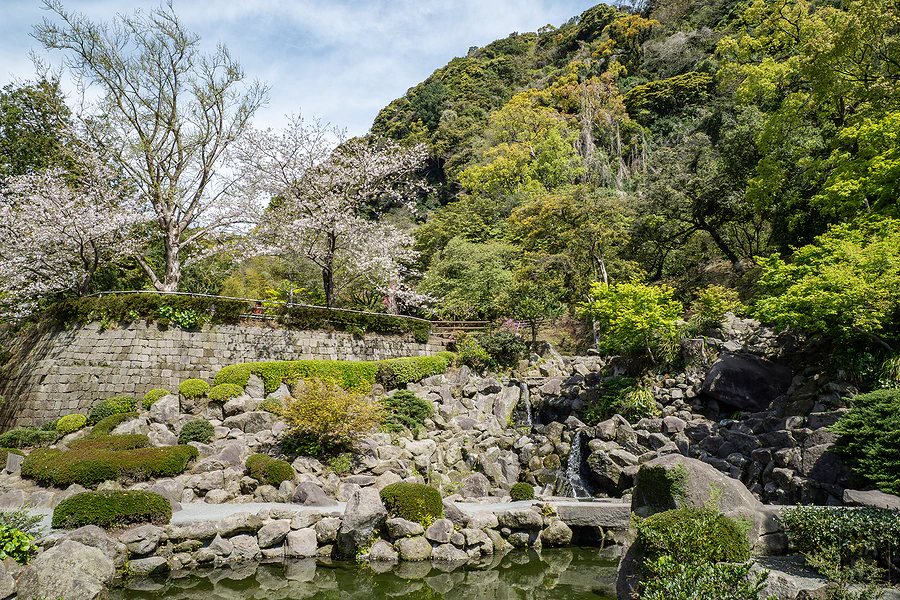 麗星郵輪探索星號