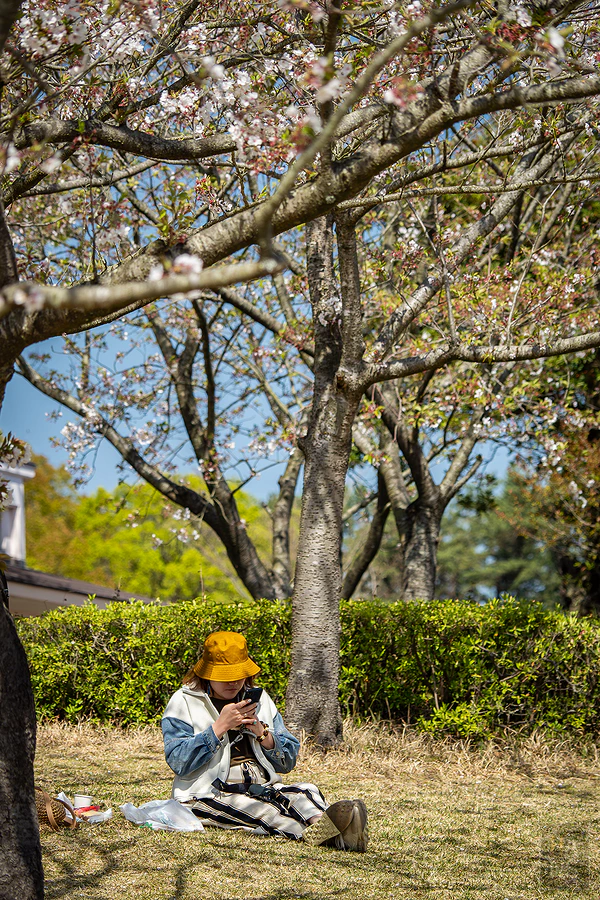 麗星郵輪探索星號