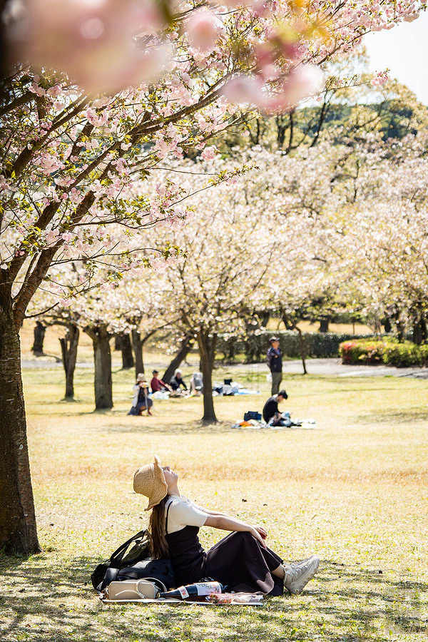 麗星郵輪探索星號