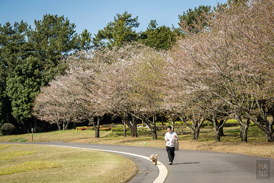 麗星郵輪探索星號