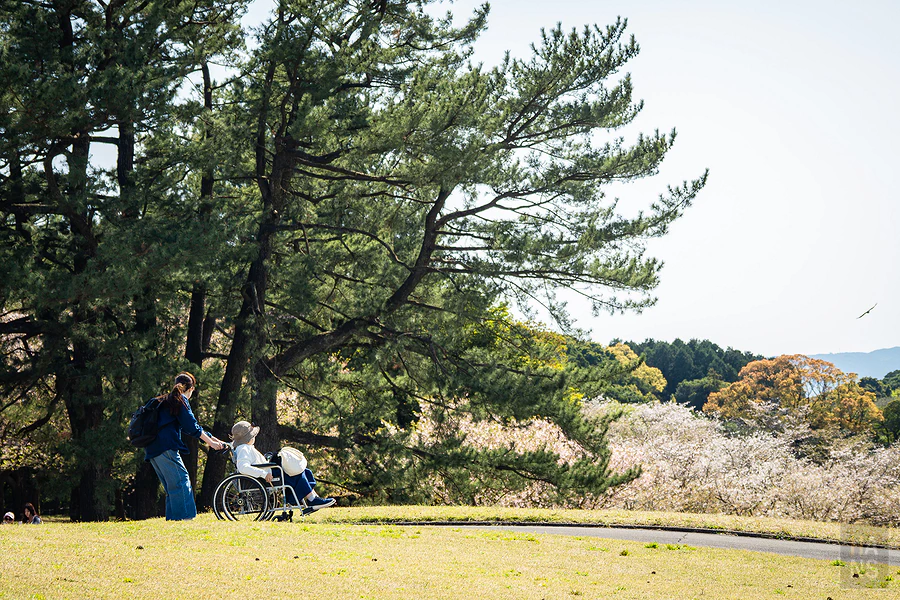 麗星郵輪探索星號