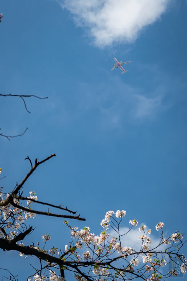 麗星郵輪探索星號
