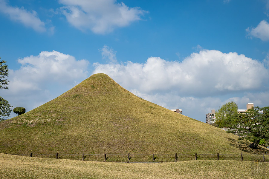 麗星郵輪探索星號