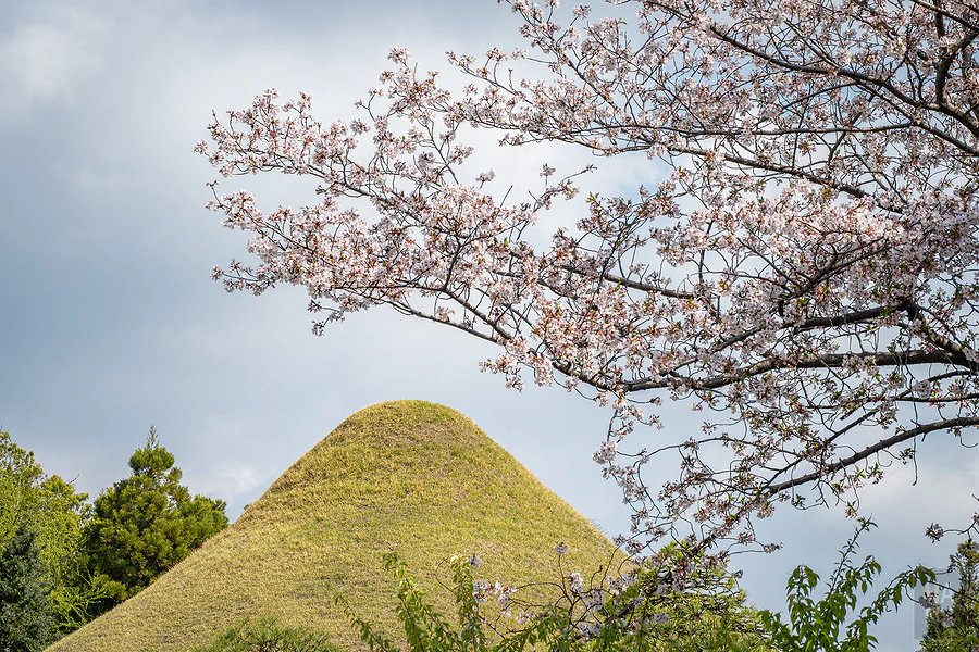 麗星郵輪探索星號