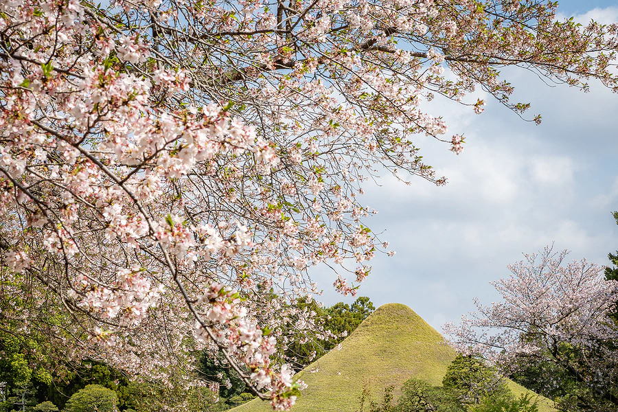 麗星郵輪探索星號