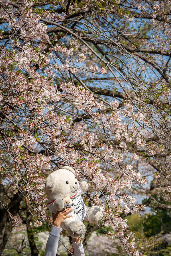 麗星郵輪探索星號