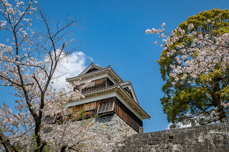 麗星郵輪探索星號