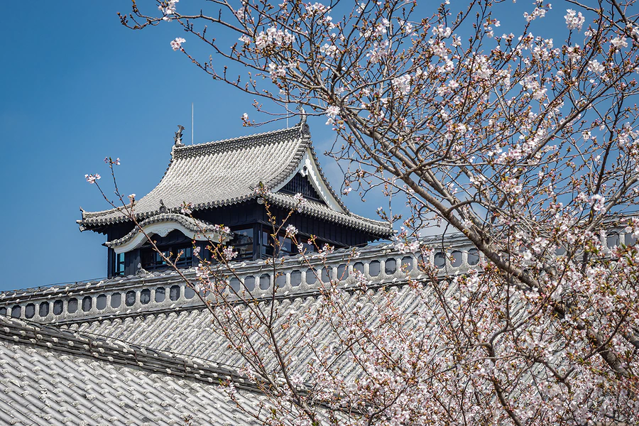 麗星郵輪探索星號