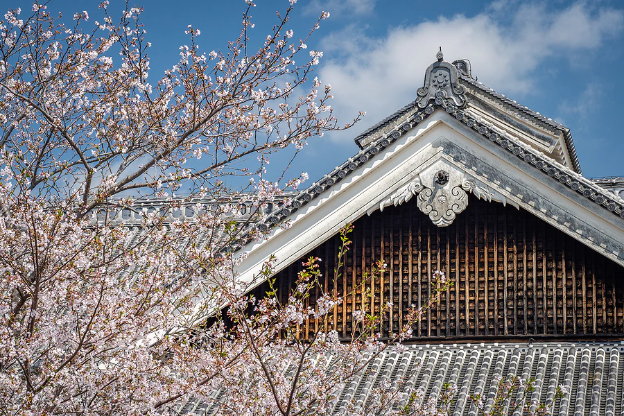 麗星郵輪探索星號