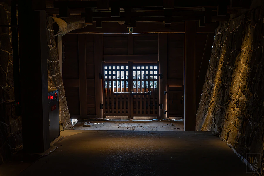 麗星郵輪探索星號