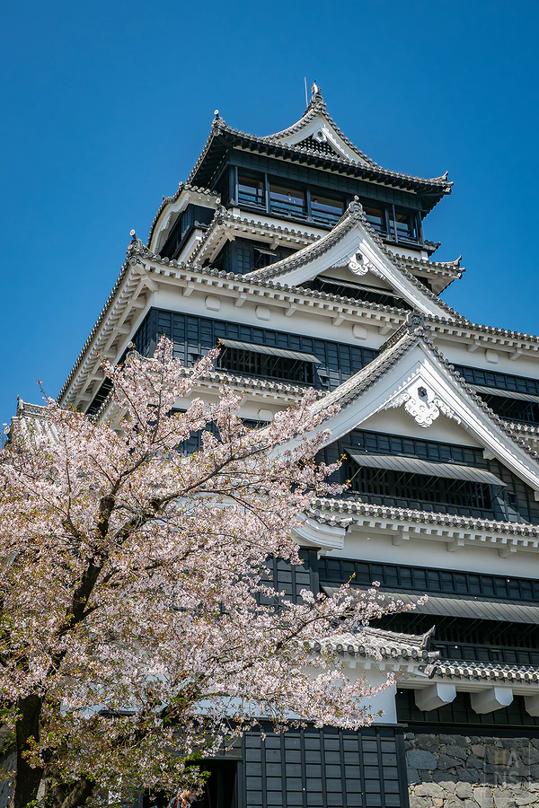 麗星郵輪探索星號