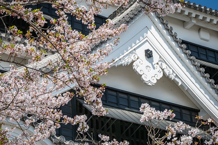 麗星郵輪探索星號