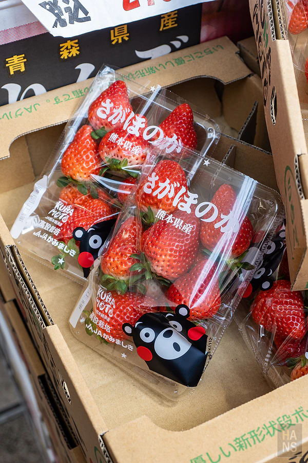 麗星郵輪探索星號