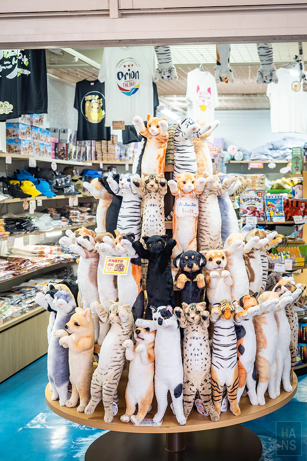 麗星郵輪探索星號