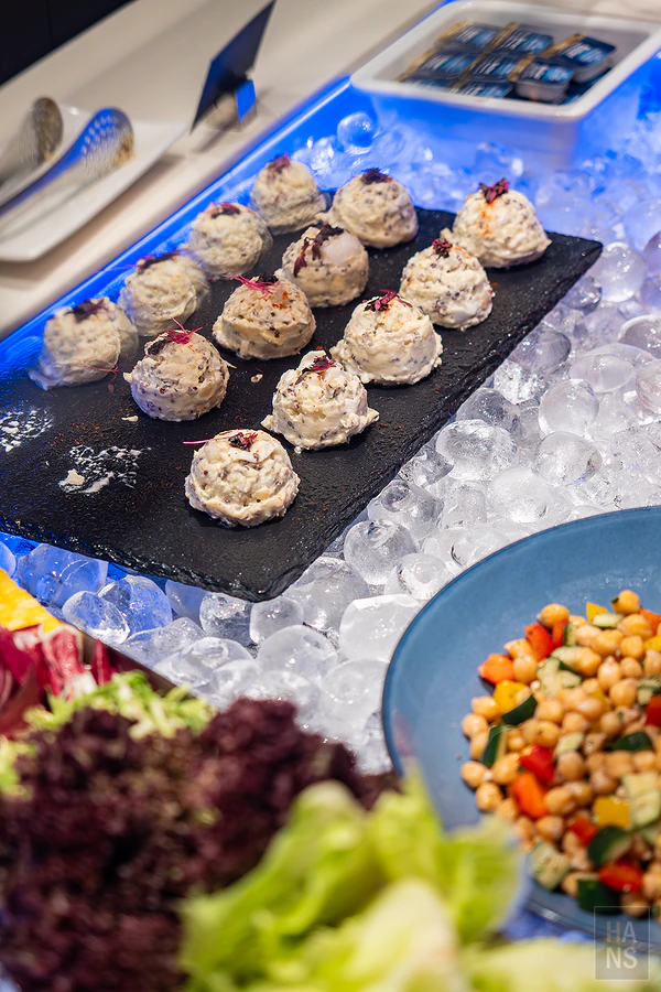 星宇航空 starlux 桃園一航貴賓室 GALACTIC LOUNGE