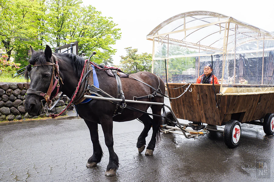 青森屋 by 星野集團