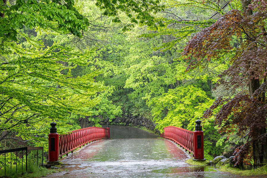 青森屋 by 星野集團