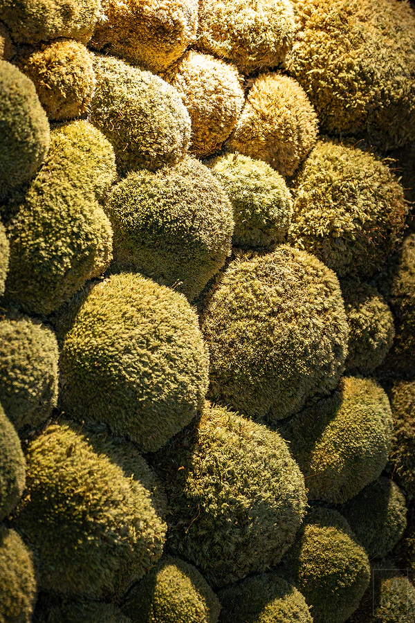 奧入瀨溪流飯店by星野集團