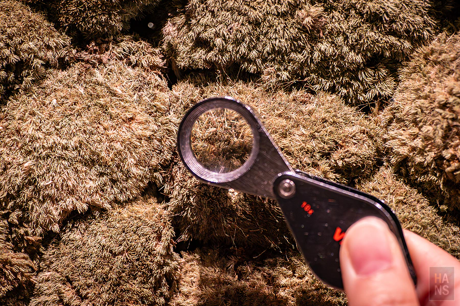 奧入瀨溪流飯店by星野集團