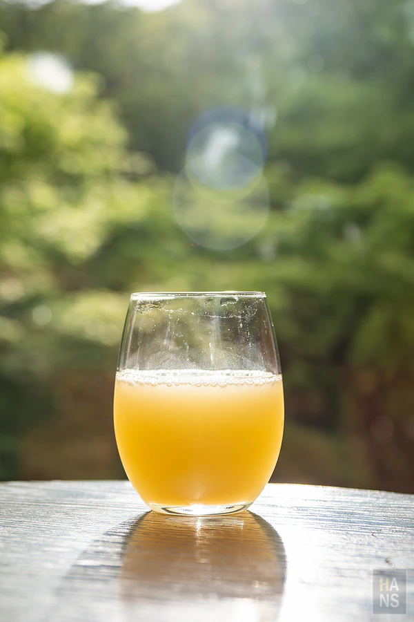 奧入瀨溪流飯店by星野集團