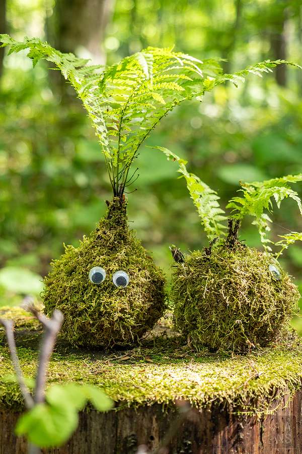 奧入瀨溪流飯店by星野集團