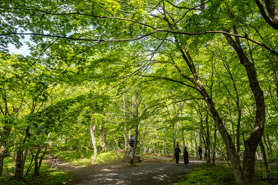 奧入瀨溪流飯店by星野集團