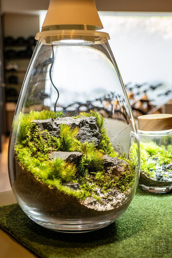 奧入瀨溪流飯店by星野集團