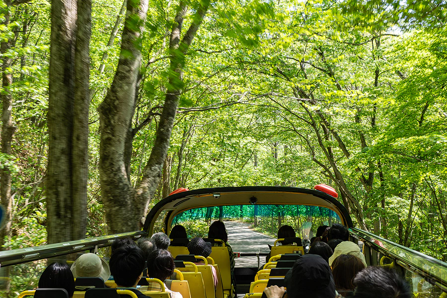 奧入瀨溪流飯店by星野集團