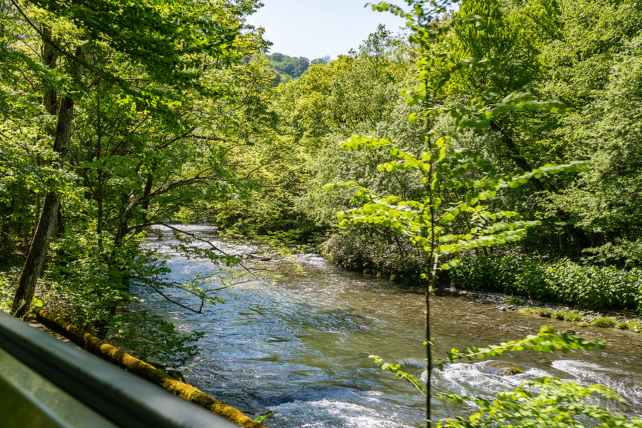 奧入瀨溪流飯店by星野集團