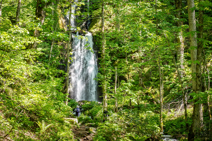 奧入瀨溪流飯店by星野集團