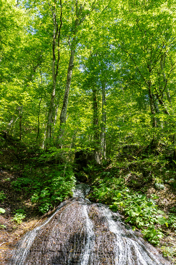 奧入瀨溪流飯店by星野集團