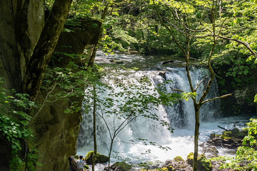 奧入瀨溪流飯店by星野集團