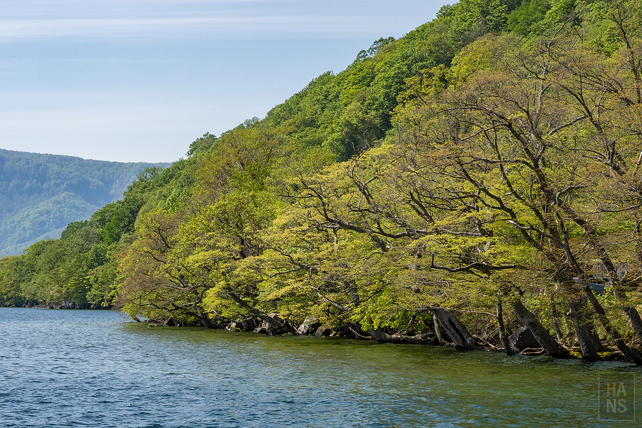 奧入瀨溪流飯店by星野集團