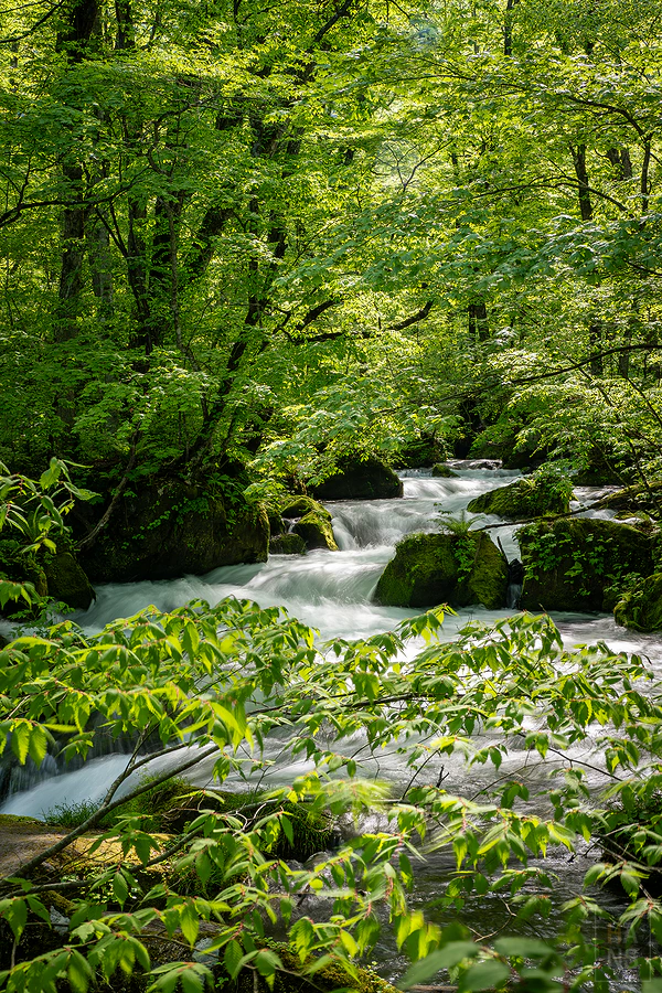 奧入瀨溪流飯店by星野集團