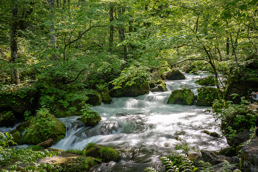 奧入瀨溪流飯店by星野集團