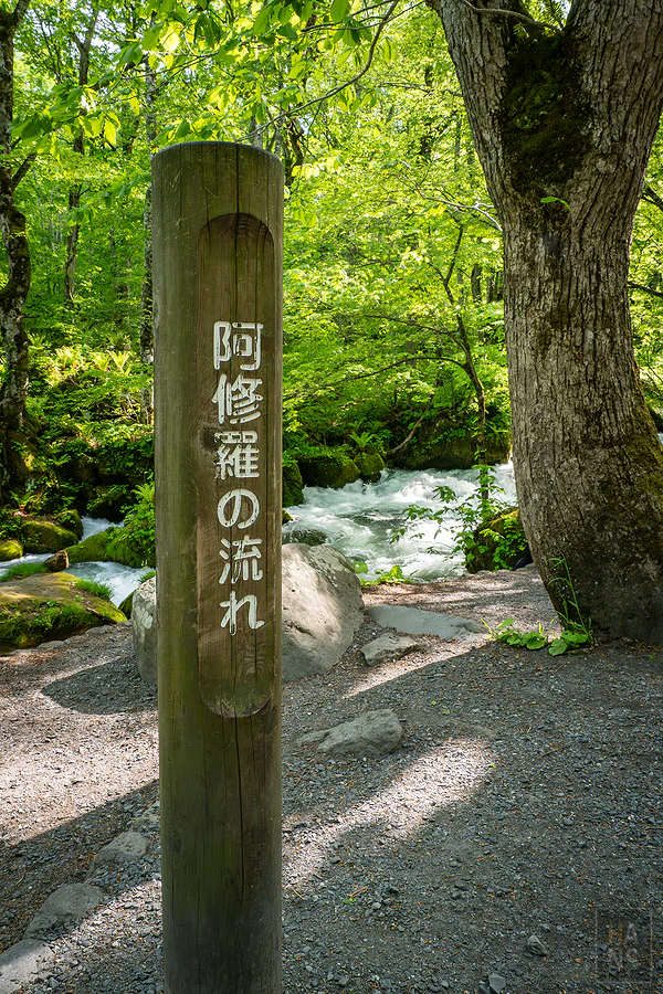 奧入瀨溪流飯店by星野集團