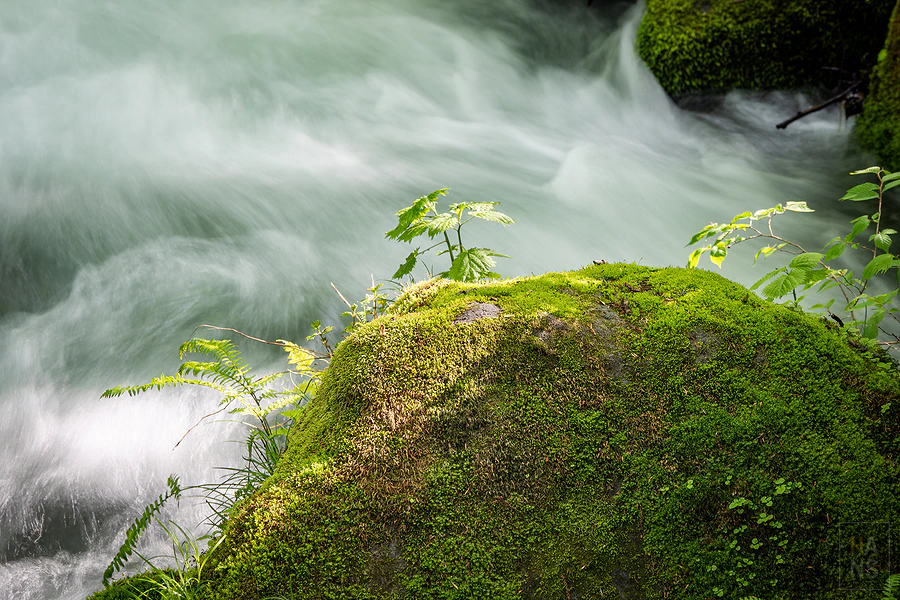 奧入瀨溪流飯店by星野集團