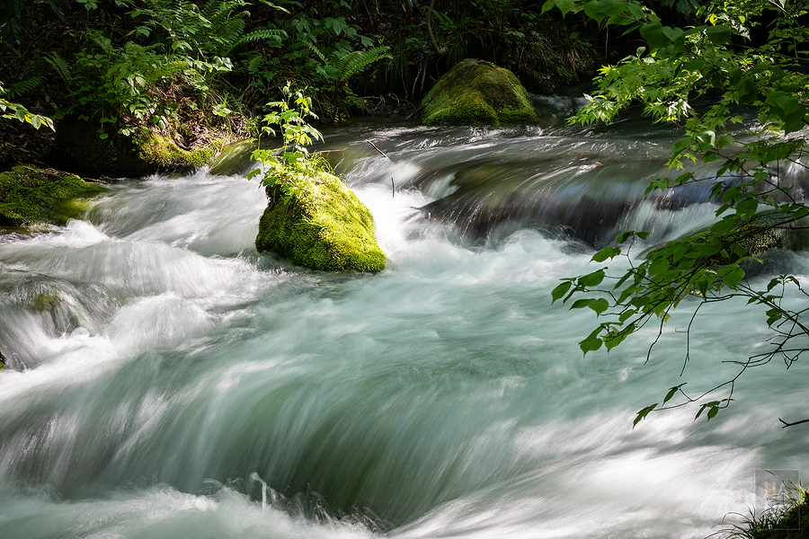 奧入瀨溪流飯店by星野集團