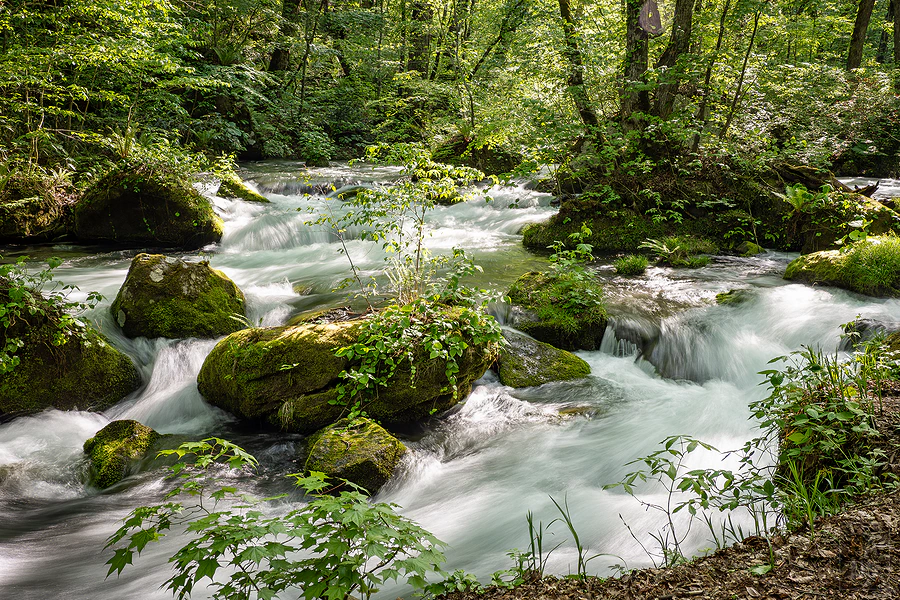 奧入瀨溪流飯店by星野集團