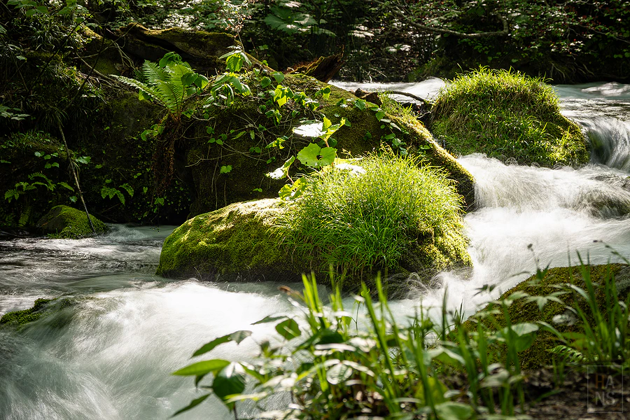 奧入瀨溪流飯店by星野集團