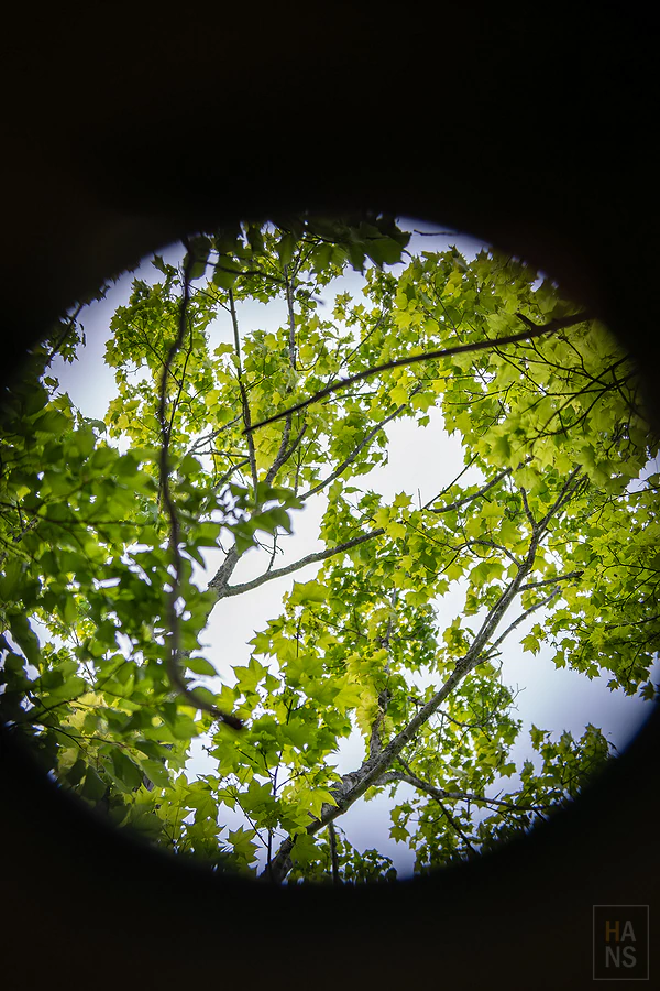 奧入瀨溪流飯店by星野集團