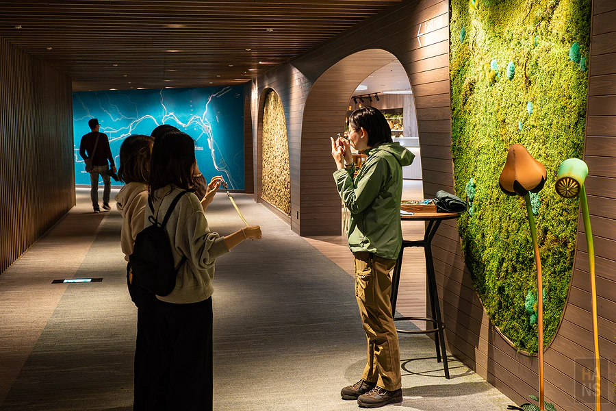 奧入瀨溪流飯店by星野集團