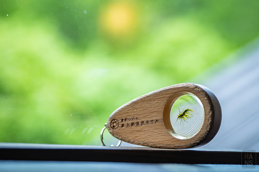 奧入瀨溪流飯店by星野集團