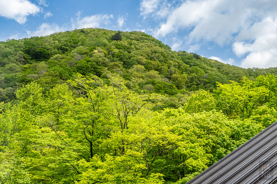 奧入瀨溪流飯店by星野集團