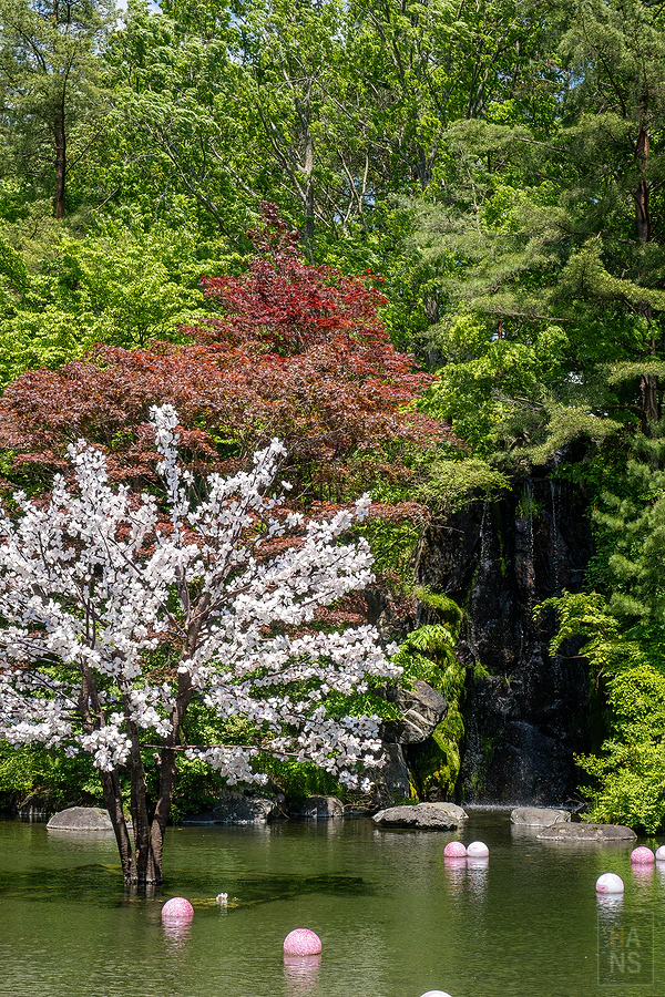 青森屋 by 星野集團